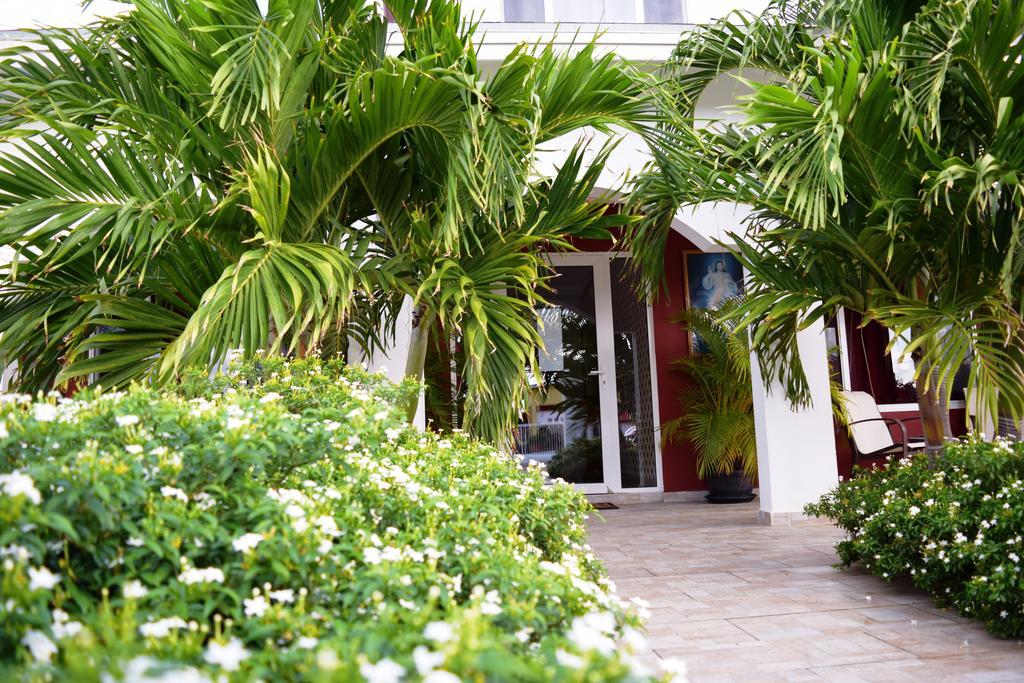 Ladybugs Apartments Palm Beach Exterior foto